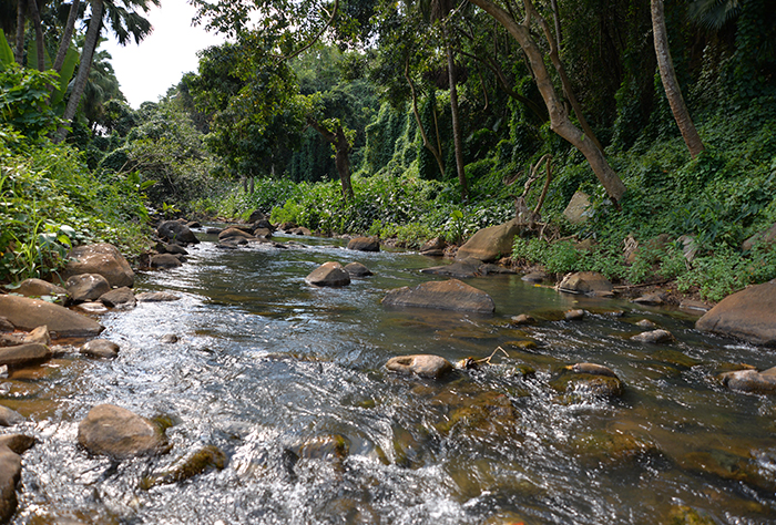 les versants de courchamps, vivre a moka, terrain residentiel a vendre