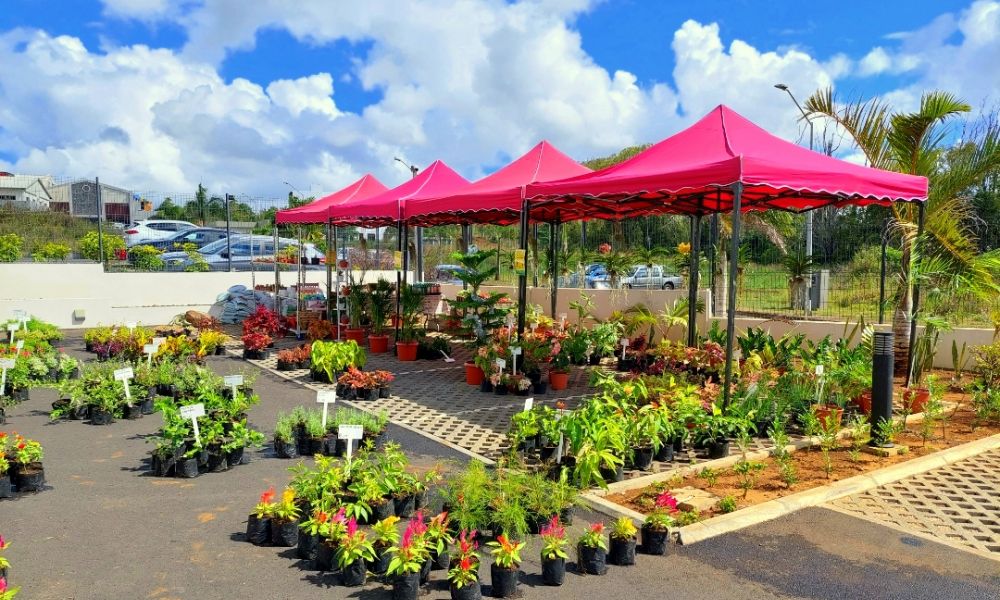 plant market redline