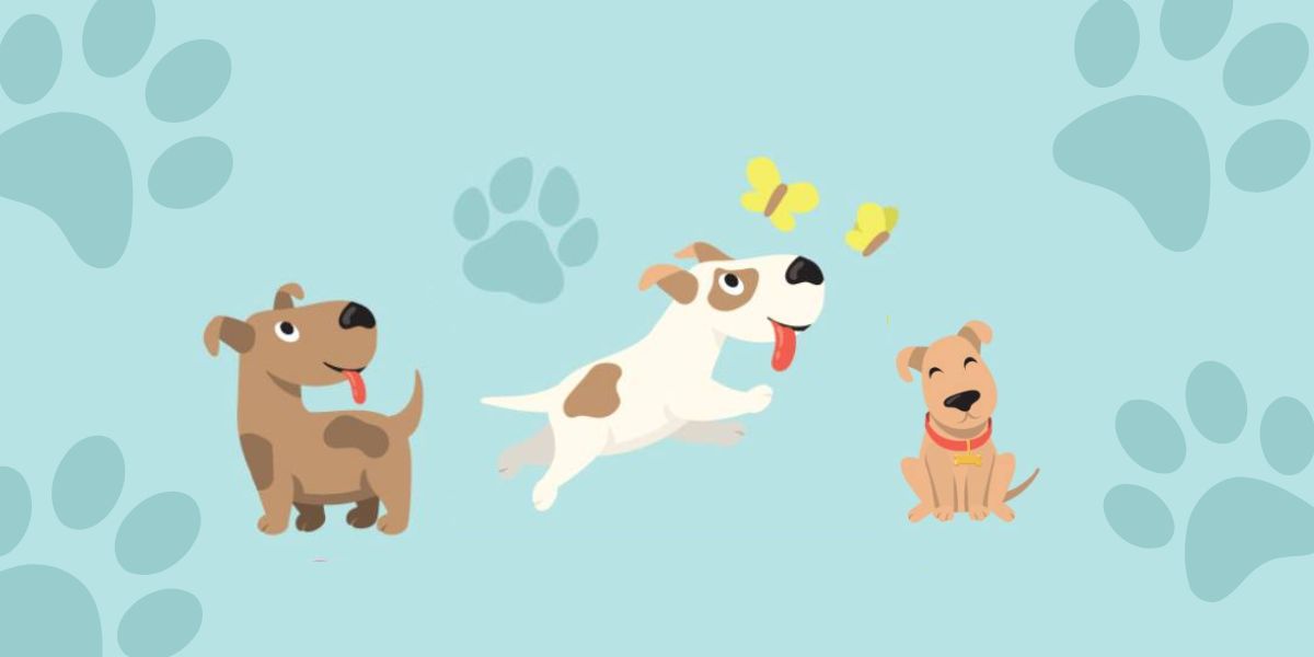 Events - Adoption chiens