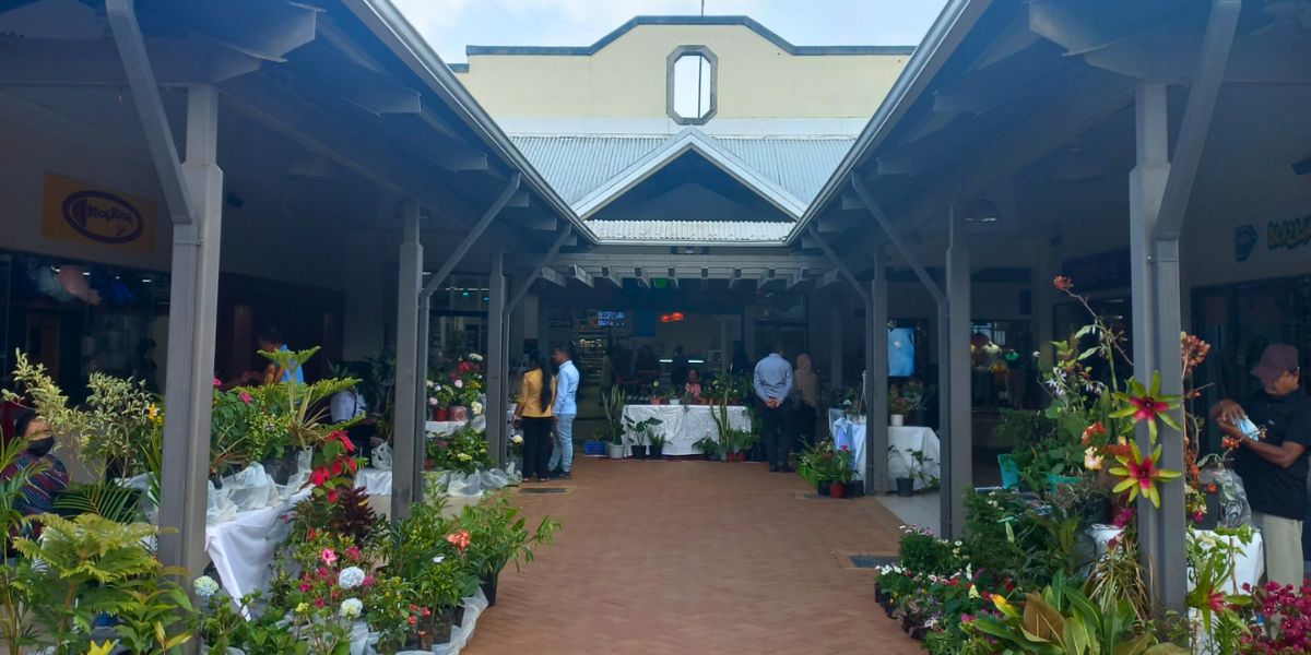 Earthrise Market | Kendra